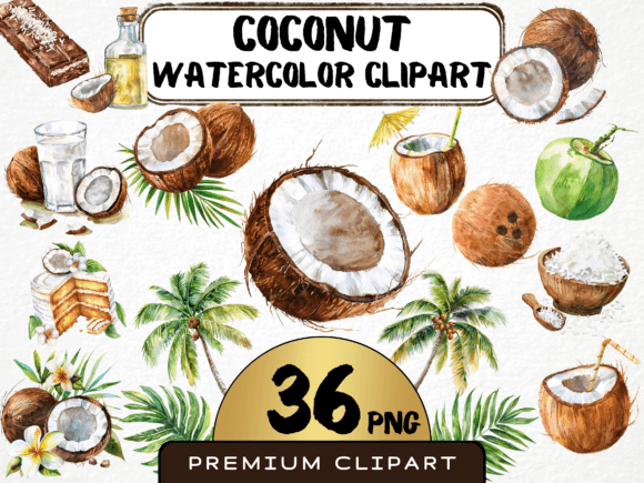 Download Watercolor Coconut Clipart Bundle - Watercolor coconut Collection