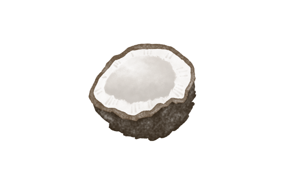 Download Watercolor Coconut - Watercolor coconut Collection